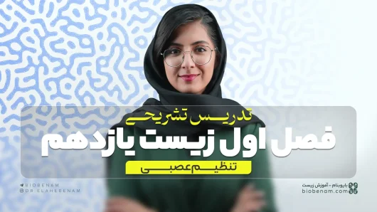 تدریس تشریحی فصل اول زیست یازدهم