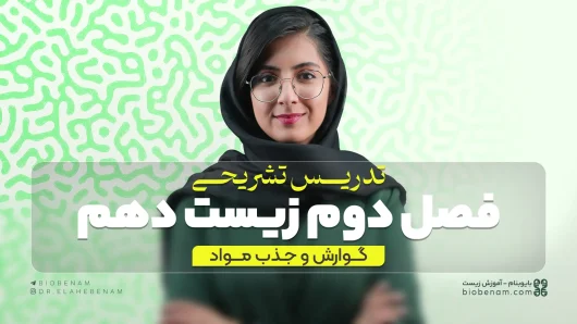 تدریس تشریحی فصل دوم زیست دهم