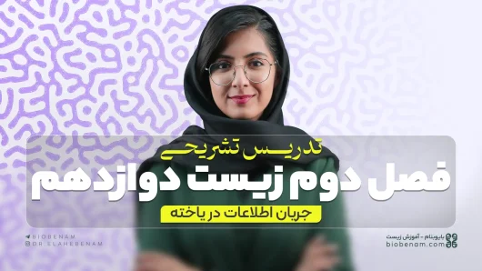 تدریس تشریحی فصل دوم زیست دوازدهم