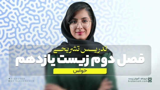 تدریس تشریحی فصل دوم زیست یازدهم