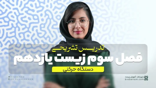 تدریس تشریحی فصل سوم زیست یازدهم