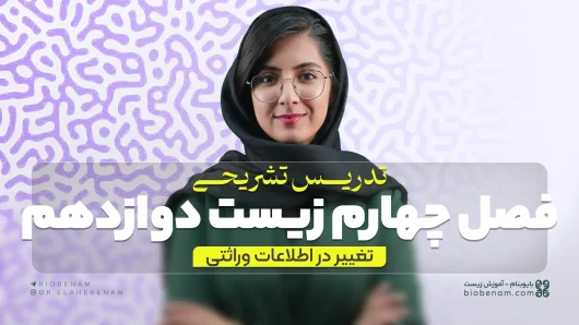 تدریس تشریحی فصل چهارم زیست دوازدهم