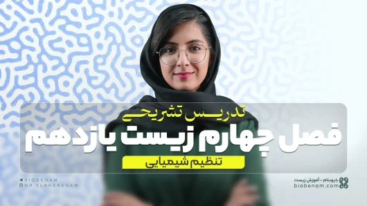 تدریس تشریحی فصل چهارم زیست یازدهم